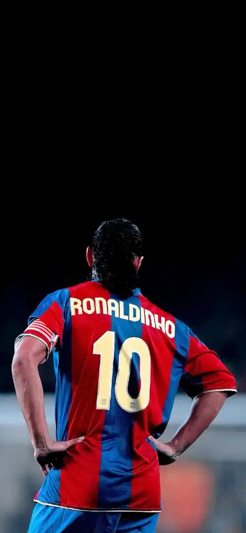 极高的性价 极高的性价